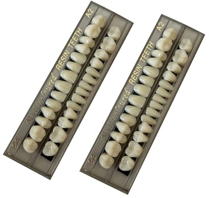 Lot de 56 faux dents en résine pour prothèses dentaires supérieures et inférieures, enseignement et bricolage 23 A2