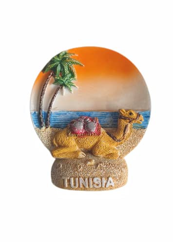 Tunisia - Magnete per frigorifero da viaggio, souvenir per frigorifero, decorazione 3D, collezione artigianale dipinta a mano