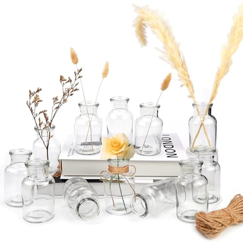 CHRI 12 STK Kleine Vasen für Tischdeko, mini Glasvase für Hochzeit, Zuhause, Geburtstage, Feste