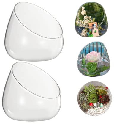 2pcs Glass Terrarium Container Bowl Vase Miniature Micro Landscape Desktop Glass Planter for Decoration