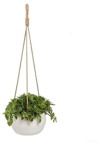 SPORTARC Appeso Appendiabiti per piante per interni ed esterni con drenaggio Appeso a parete Plante piante da soffitto per vaso da fiori Patio Deck Soffitto Pianta Holder