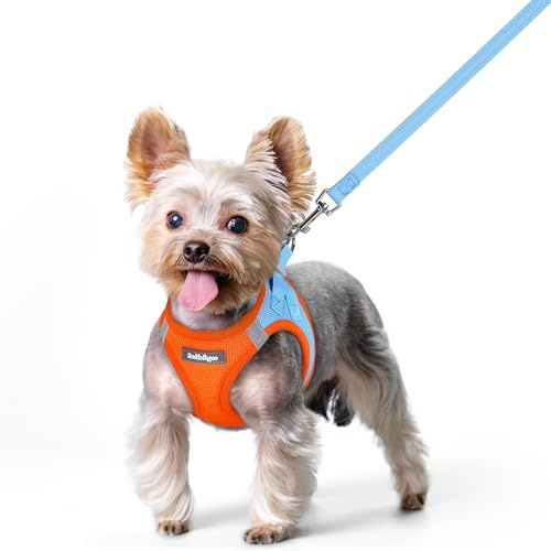 rabbitgoo Arnes Perro Pequeño con Correa Reflectante, Azul Ligero y Naranja XS, Chaleco Perro Ajustable Fácil de Poner, Arnes Antitirones de Malla Suave Transpirable, Arnés para Perros Pequeños