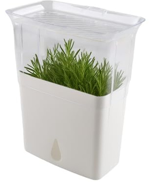 ZoeQide Contenitore per erbe aromatiche con serbatoio dell'acqua per frigorifero – Contenitore per erbe aromatiche fresche con coperchio e 3 divisori – Contenitore trasparente per erbe e verdure