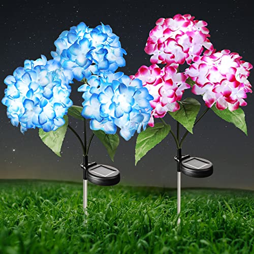ZOMCHAIN Solar Flower Lights - 2 Pack Waterproof Garden Lights with Solar Hydrangea Stake, Decorative for Patio, Courtyard, Garden Lawn (Blue & Rose Red)