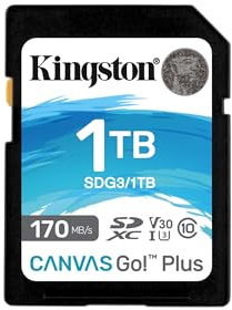 Kingston Canvas Go! Plus Tarjeta SD 1TB SDXC 170R C10 UHS-I U3 V30