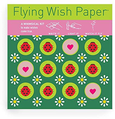 Flying Wish Paper Ladybug Licensed Original Artwork, Mini Wishing Kit, 5 x 5