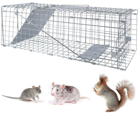 Live Rat Cage Trap | Humane Mouse Traps & Rat Traps - All Weather, Home & Animal Friendly Reusable Rat, Mouse, Squirrel, Mole, Rabbit, Rodent Solution - Mouse Traps for Indoors/Outdoors (Large)