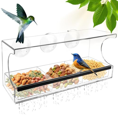 Foder foderhus för fåglar, fönster, fågelhus, fönsterruta, akrylfoder, fågelmatare för fönster med 3 extra starka sugkoppar och 3 fack, transparent 30 x 10 x 13 cm