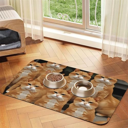 Orange Cats Hundefuttermatten für Böden, 40,6 x 61 cm, rutschfeste, super saugfähige Haustierfuttermatte, Geschirrspüler-Hundematte für Futter und Wasser, niedlich, Gummi, schnell trocknend