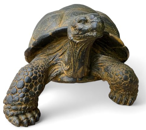 FaHome Stein Schildkröten – Pool, Garten, Terrasse - Langlebig und Wetterbeständig – Gelblich aus Glasfaserbeton – 32, 47 und 65 cm (Groß)
