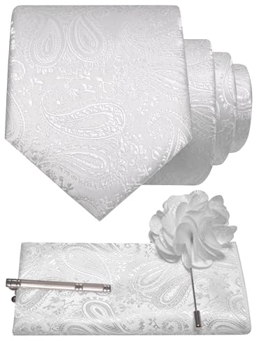 JEMYGINS Krawatte Set Herren Einstecktuch Krawattenklammer Ansteckblume Paisley Muster Hochzeit Business Party Mehrfarbig