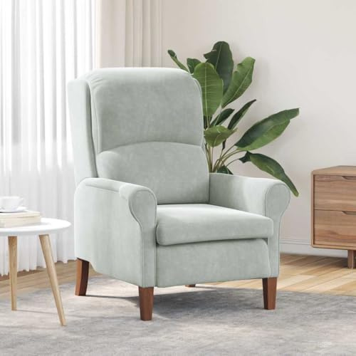 Teenpull fåtölj ljusgrå, 76 x 94 x 102 cm sammetsöverdrag, modern accentstol med träram, ergonomisk lässtol för vardagsrum, sovrum, bekväm armstol