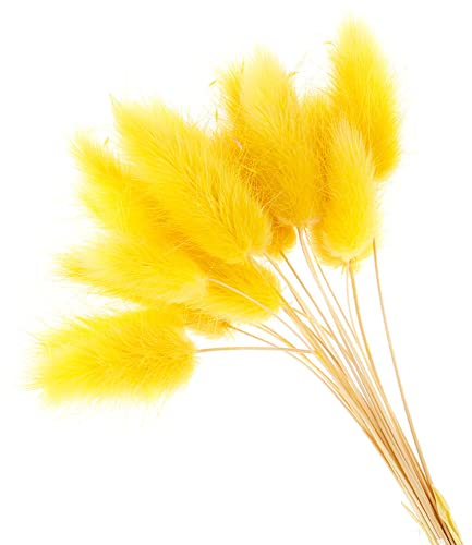 50 Stück Ewige Blumen, getrocknetes Gras, langer Zweig, natürliche getrocknete Blumen, bunte Plüschblumen, Kaninchenschwanz, Fuchsschwanz, Gras für Heimdekoration (gelb)