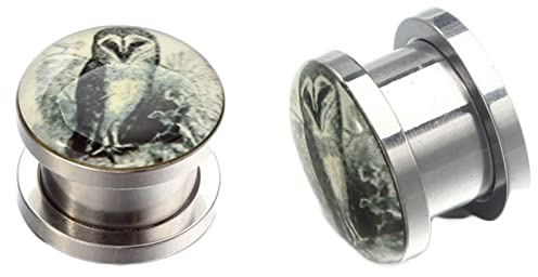 Beydodo Ohr Tunnel 3-20MM, Ohr Plug Edelstahl Eule zum Schrauben Silber Piercing Tunnel Ohrringe Set