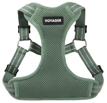 Best Pet Supplies Voyager Adjustable Step-in Flex Breathable Mesh Dog Harness for Small Medium Large Dogs Moss Green, S