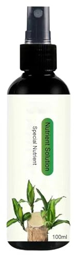 Fertilizzante Per Pianta D'appartamento In Legno Fortunato, Soluzione Nutritiva In Legno Brasiliano - Soluzione Nutritiva Di Legno Brasiliano Fortunato,Materiale Naturale Cibo Vegetale Per Soggiorno,