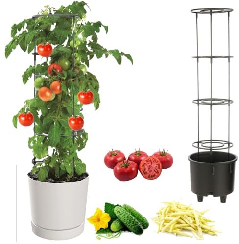 botle Pot à tomates - Pot pour la culture de plantes grimpantes - Pot à légumes - Diamètre : 40 cm - En plastique - Blanc - Avec insert avec cadre haut