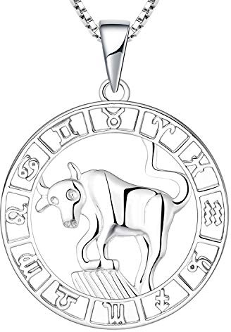 YL Silber Stier Halskette-925 Sterling Silber Horoskop Sternzeichen 12 Konstellation Anhänger Halskette für Damen