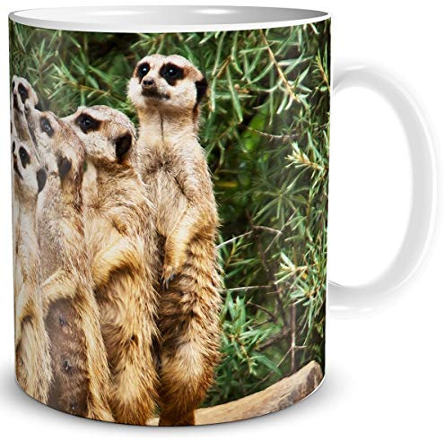 TRIOSK Tasse Erdmännchen Familie lustig mit Motiv Familiengruppe Tiermotiv Geschenk für Mädchen Frauen Freundin Kollegin Geburtstag