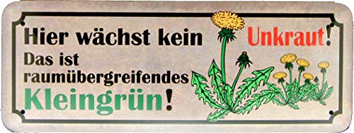 Tin Sign Blechschild 27x10 Hier wächst KEIN Unkraut lustig Spruch Kleingrün für Haus Hobby Garten Büro Pflanzen Kultur Gemüse Beet Pflanzen Gärtner