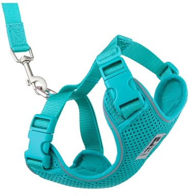 RC Pet Products Adventure Kitty Hundegeschirr, Katzengeschirr, Größe M, Blaugrün (53804015)