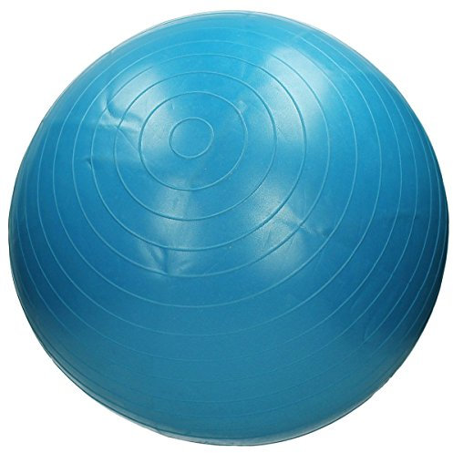 QHP Pferdefußball (blau)