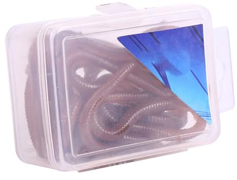 Regenwurm K?der, 1cm -Shaped Fischk?der Knstliche Wrmer Wurm Fischk?der Weiche Fisch K?der Tackle Rig Grub Haken Fischiger Geruch mit Box Angeln Fischer