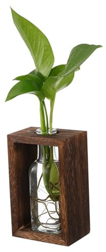 HOLIDYOYO Glass Propagation Vase Desktop Planter for Indoor Plants Terrarium Bottle Rustic Home Decor Style for Houseplant Care and Unique Office Decor
