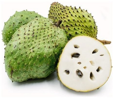 Nouvelles graines de fruits de corossol fraîches 70 pièces