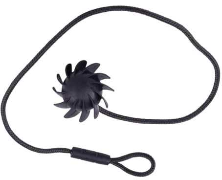 GLILAR Cuerda Estante Trasera Compatible con Seat para MII 2012 2013 2014 2015 2016 20017 2017 5G6 898 780 Cordón De Tapa De Maletero Trasero Estante De Puerta Trasera Pieza De Cadena De Fijación