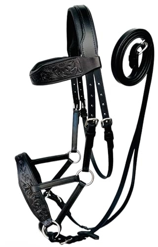 Kayfcrafts Oiled Leather Horse Side Pull Bitless Bridle Full Leather Reins (Black, Full)