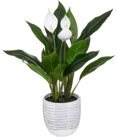 ATMOSPHERA CREATEUR D'INTERIEUR Planta Lirio de la Paz Cim H54 Multicolor
