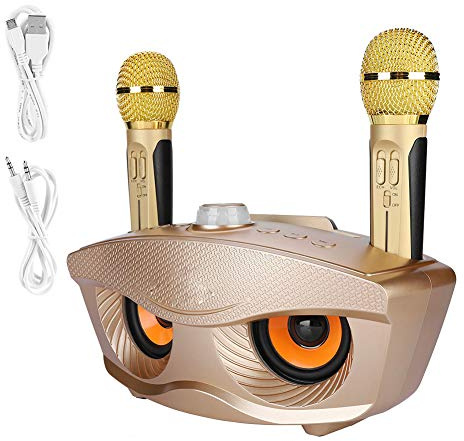 Karaoke-Maschine mit Zwei Drahtlosen Mikrofonen, Tragbarer Bluetooth-Lautsprecher Home KTV Karaoke-Lautsprecher-PA-System für Kinder und Erwachsene (Gold)