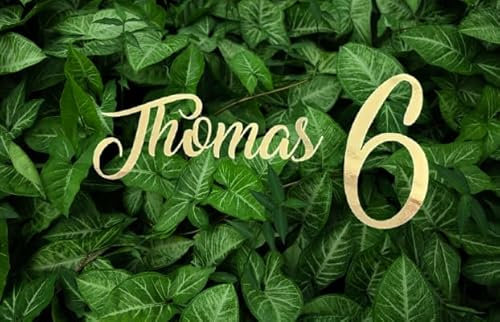 Personalized Multicolored Acrylic Cake Topper – Custom Name Plate for Birthday, Wedding, Anniversary & Celebration Cakes – Happy Birthday Cake Decoration & Charms (Name & Age)