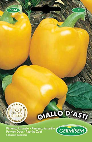 Germisem graines Poivron doux GIALLO D'ASTI