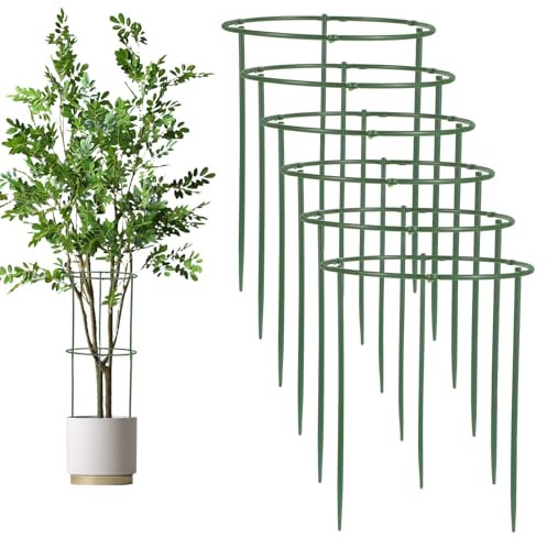 Wanmu 36Pcs Plant Support Stakes Half Round Plant Stakes, Stackable 6 Tier Garden Flower Support, Plant Cage for Indoor Plants for Tomato, Monstera, Peony, Hydrangea, Climbing Plants