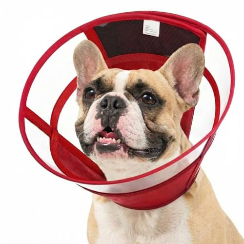 Hundhalsband efter operation, justerbar skyddskrage hund med dragsko, transparent läckageskydd hundar, anti-läckkrage, vikbar hundkrage, vinröd S