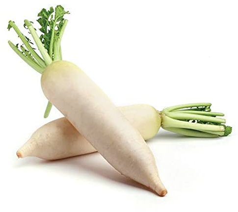 200 Graines de Radis Japonais - légumes jardins ancien - semences paysannes reproductibles - SemiSauvage