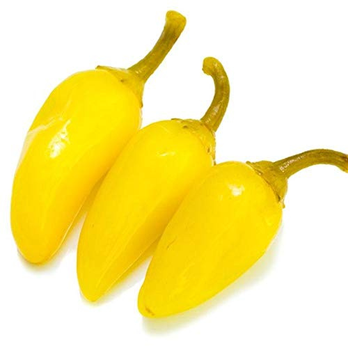 Yellow Jalapeno Pepper - A Rich Source of Vitamin-C Great Producer (100 - Seeds)