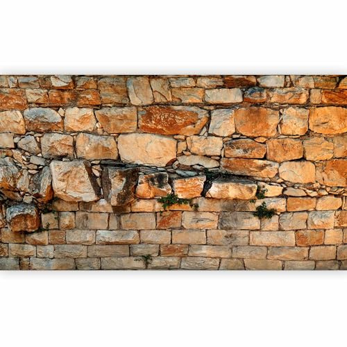 murando - Fototapete Vlies Steinwand, 500x280 cm, Schlafzimmer, Wohnzimmer | Full HD Druck, 3D-Effekt, lichtbeständige Farben, ideal fürs Wohn- oder Schlafzimmer, schnelle Montage, lichtbeständig, edel
