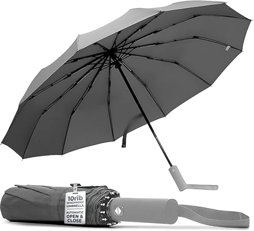 TANNESS Paraguas resistente al viento, paraguas compacto y impermeable de 10 varillas con función de apertura y cierre automático y mango ergonómico, mini paraguas plegable, paraguas fuerte para