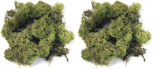 Rayher 8503211 Islandmoos, hellgrün, Btl. 100 g, echtes Natur-Moos (Island), konserviert, gereinigt, zum Basteln, Deko-Moos zu Ostern, Weihnachten, für den Modellbau (Packung mit 2)
