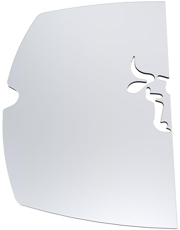 tuning-art EG01-Q1P Edelstahl Grillplatte Plancha kompatibel mit Weber Q100er Serie | Q1000er Serie | Rostfrei | Bullendesign | Spülmaschinenfest