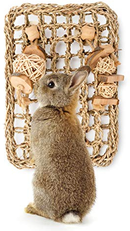 andwe Seagrass Protector Mat with Toys for Rabbit Bunny Chinchilla Guinea Pigs or Other Rodent Pets (11 X 7.87-inch)