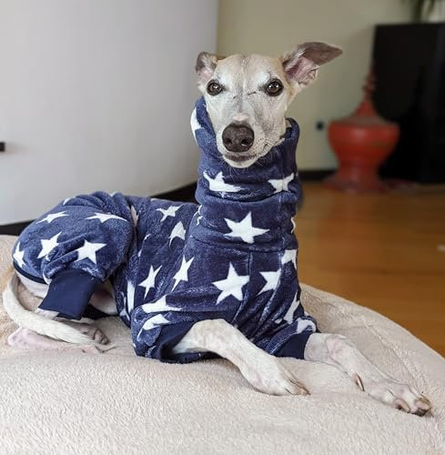 EDEL&SCHNELL Hundepyjama mittelgroße Hunde 55 bis 60 cm Hundeschlafanzug in dunkelblau mit Sternen Windhund Hundebody wärmend aus Flanell Fleece mit Reißverschluss