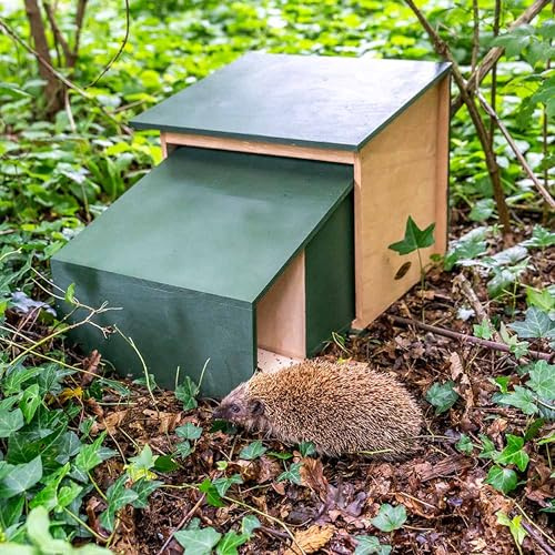 CJ Wildlife Igelhaus Winterfest – Igelfutterhaus aus FSC-Holz Grün – wetterfestes Igel Futterhaus mit Innentunnel und Belüftung – Gebrauchsfertig, XL Größe