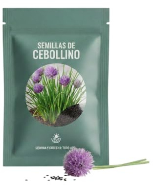 Cebollino para Ensaladas y Tortillas | Semillas DECOALIVE