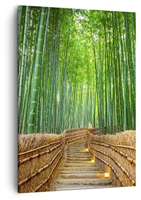 ARTTOR Bilder auf Leinwand 50x70 cm Wandbild Landschaften Wald - 3979 | Bambus Pflanze Vertikal Klein Wanddekoration Wohnzimmer Schlafzimmer Wandkunst Wanddeko Wand Kunstdruck Küche ARTTOR