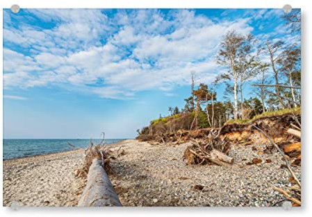 artboxONE Acrylglasbild 30x20 cm Natur Strand, Meer, Baumstamm Bild hinter Acrylglas - Bild ostsee baumstamm buhne