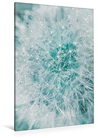 Premium Textil-Leinwand 80 x 120 cm Hoch-Format Pusteblume im Morgentau | Wandbild, HD-Bild auf Keilrahmen, Fertigbild auf hochwertigem Vlies, Leinwanddruck von Jana Mänz